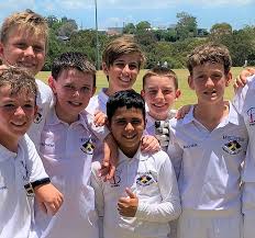 Image result for Weirs Cricket Club