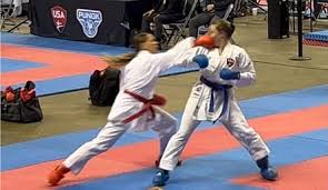 Image result for America's Best Karate Chandler