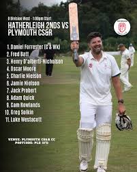 Image result for Hatherleigh Cricket Club