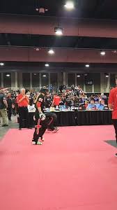 Image result for Epsom & Ewell Karate Club