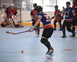 Image result for Ealing Eagles Ball Hockey Club