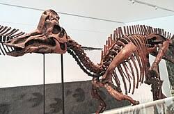 Bildergebnis für corythosaurus