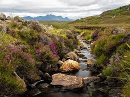 Image result for Scottish Rocks