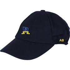 Image result for Chipstead Coulsdon & Walcountians Cc