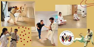 Image result for University of Bristol Shorinji Kempo Club