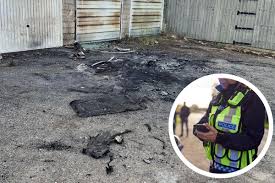 Image result for Swindon Flames