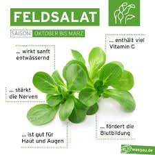 Image result for Feldsalat
