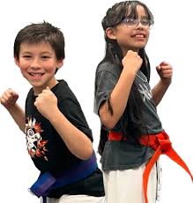 Image result for America's Best Karate