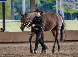 Image result for Patchett`s Green Riding Club