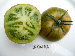 Afbeeldingsresultaat voor grubbs mystery green tomato