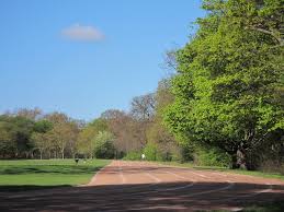 Image result for Running Club Regent's Park - We Run
