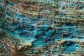 Attēlu rezultāti vaicājumam “Chlorociboria aeruginascens”