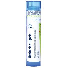 Attēlu rezultāti vaicājumam “Berberis vulgaris”