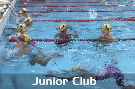 Image result for Poole Swimming Club