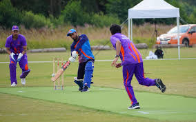 Image result for Forest Green Estonia Cricket Club