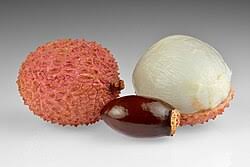 Image result for Litchi chinensis