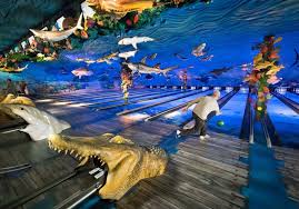 Image result for Seamer Bowling Club