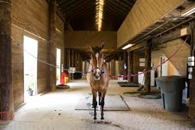Image result for Cliff Hatch Stables