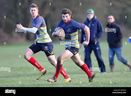 Image result for Diss Rugby Football Club