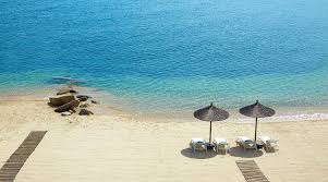 Image result for Palace Eagles Octopush Club