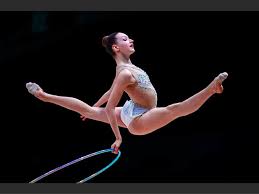 Image result for Northern Gymnastics Club CIC
