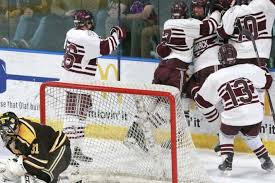 Image result for Demons Skater Hockey Club