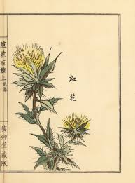 Image result for Carthamus tinctorius