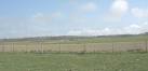 including 30 Wellingtons which had just two propellers between them. - via Daymix