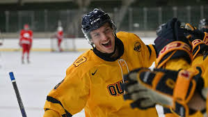 Image result for Queens University Belfast Mens Hockey Club