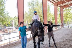 Image result for Shey Copse Riding Centre