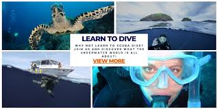Image result for Deep Blue Diving