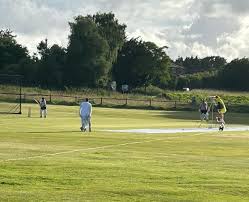 Image result for Henfield Cricket Club