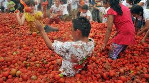 Afbeeldingsresultaat voor oranje van goeienbier tomato