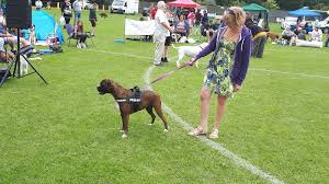 Image result for Holbeach United Services Bowls Club