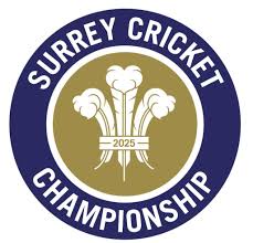 Image result for Gilberdyke Cricket Club