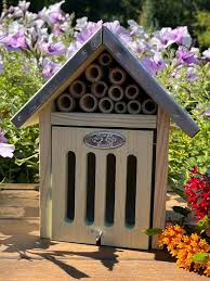 Image result for ladybug house