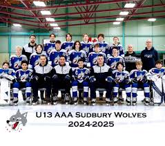 Image result for Sudbury Hockey Club