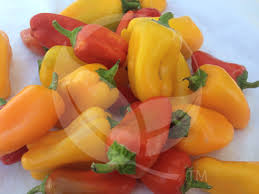 Afbeeldingsresultaat voor baby yellow sweet pepper