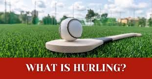 Image result for hurling
