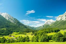 Image result for photos