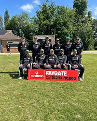 Image result for Ifield Cricket Club