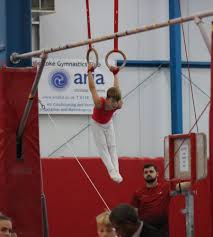 Image result for Arabian School Of Gymnastics, Milton Keynes