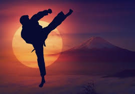 Image result for Bodyfit Martial Arts