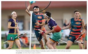 Image result for Wessex Warlocks Quadball