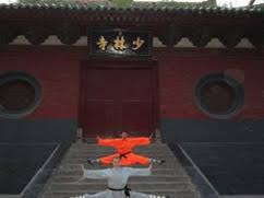Image result for Shaolin Ancestors kung Fu School