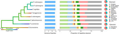 Image result for genome sizes