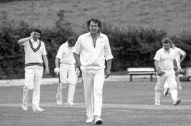 Image result for Pontarddulais Cricket Club