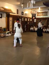 Image result for Moslin & Dewandre Aiki Dojo