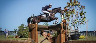Image result for South Weylands Equestrian