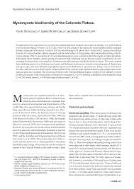 Attēlu rezultāti vaicājumam “Badhamiopsis scripta sessile”